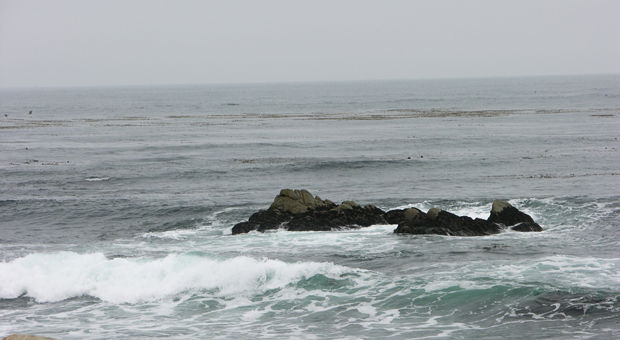 DSCN0769