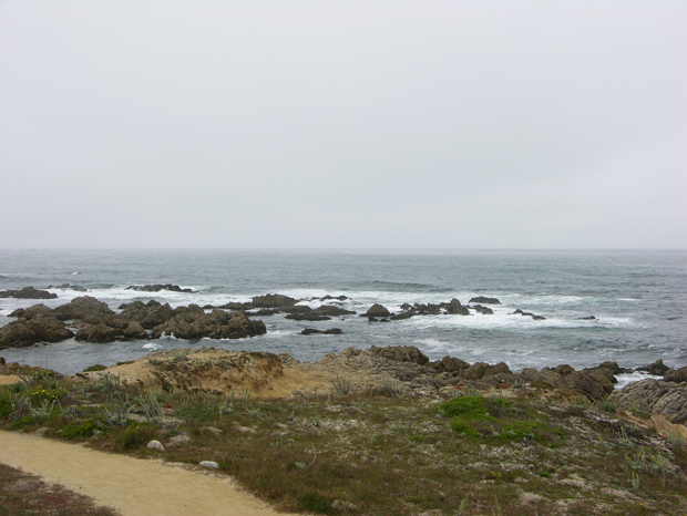 DSCN0789