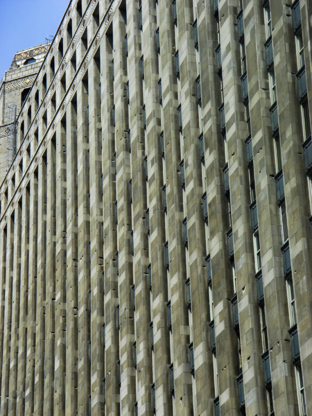 DSC00818