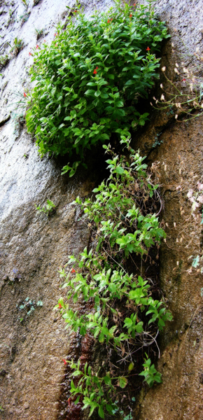 DSCN1619